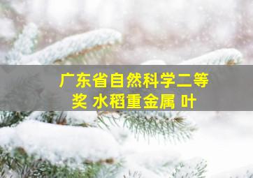 广东省自然科学二等奖 水稻重金属 叶